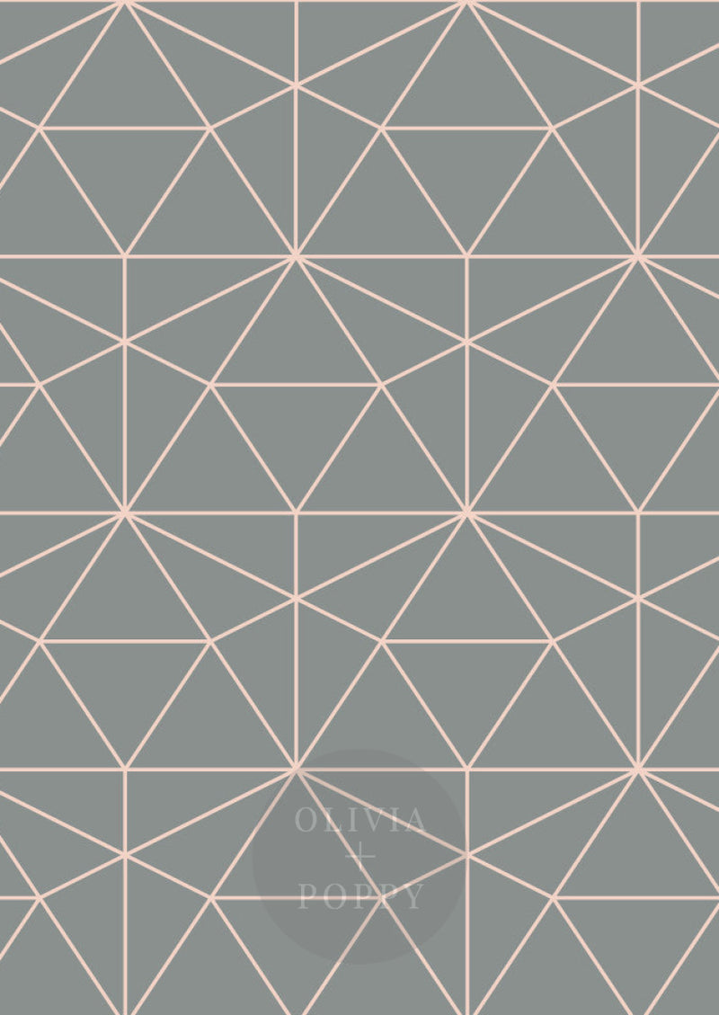 Graphic Quartz Wallpaper Paste The Wall (Traditional Vinyl) / Grey + Pale Dogwood