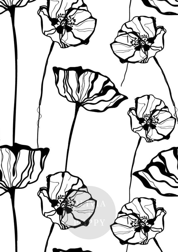 Poppy Sketch Wallpaper Sample